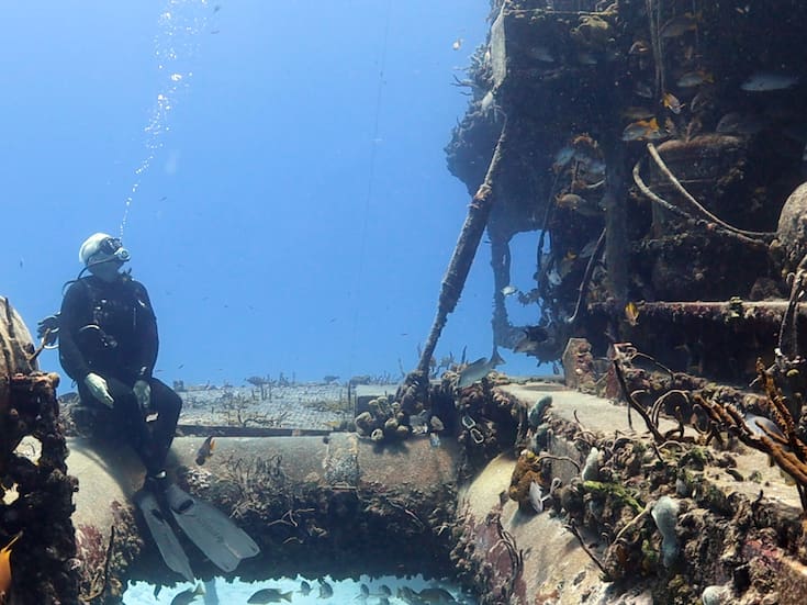 “Meditación sobre el océano” es la nueva exposición del Acuario Birch en la Jolla, California