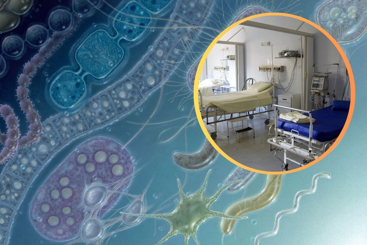 ¿Qué es la bacteria Klebsiella oxytoca, detectada en Edomex?