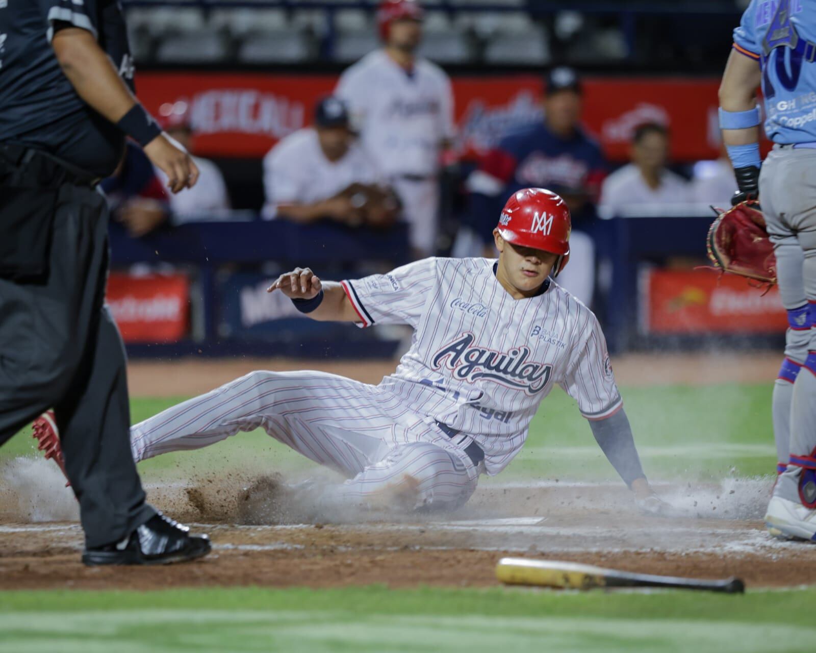 Foto: Javier Gallegos.