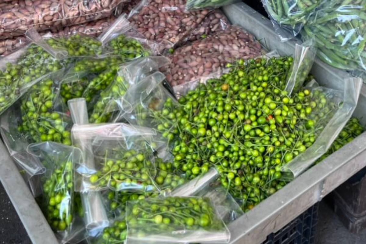 Chiltepín verde, el favorito de temporada: comerciantes del centro de Hermosillo reportan auge en ventas de productos regionales