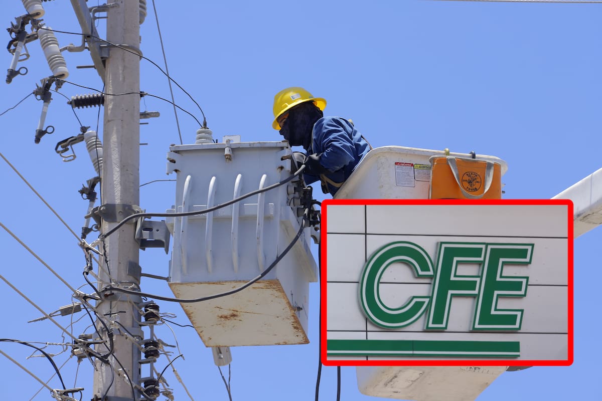El internet de la CFE TEIT: Una de las alternativas más económicas en México, así puedes contratarlo