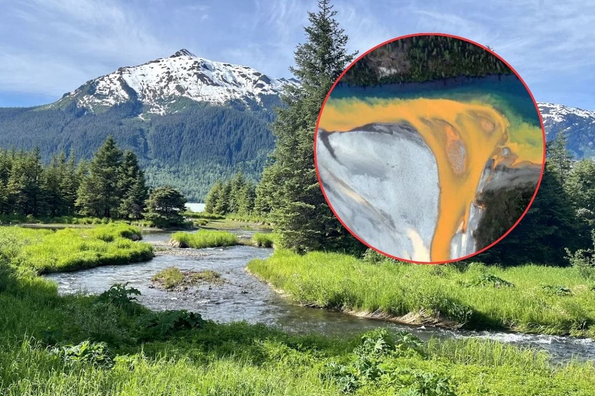 Ríos de Alaska se vuelven naranjas y ácidos por calentamiento global