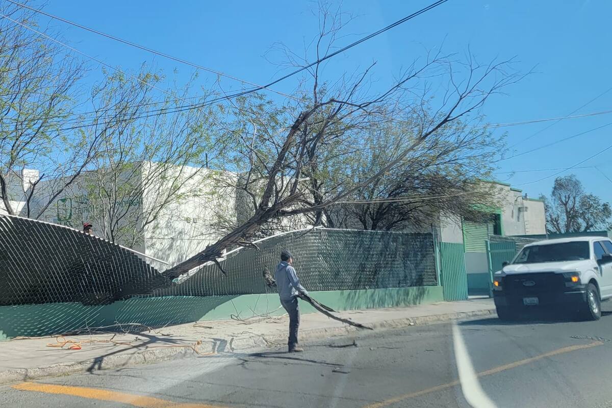 Mexicali Clima: Fuertes vientos generan daños este sábado