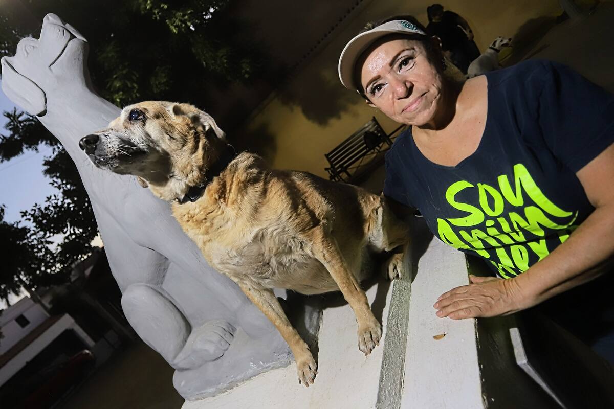 Con escultura homenajean a perros mestizos en Hermosillo
