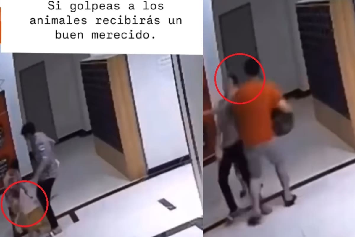 Golpea a la mascota de un niño y recibe una fuerte bofetada en defensa del animal