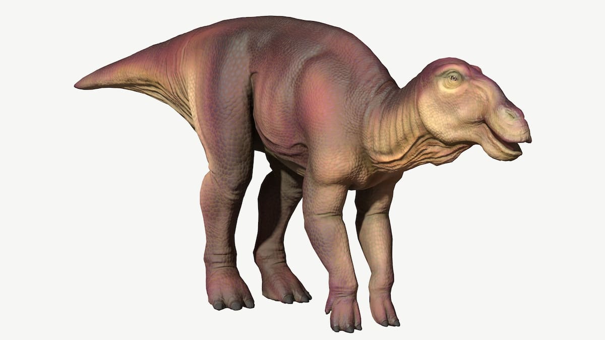 Los científicos creen que ambos dinosaurios momificados murieron durante una sequía