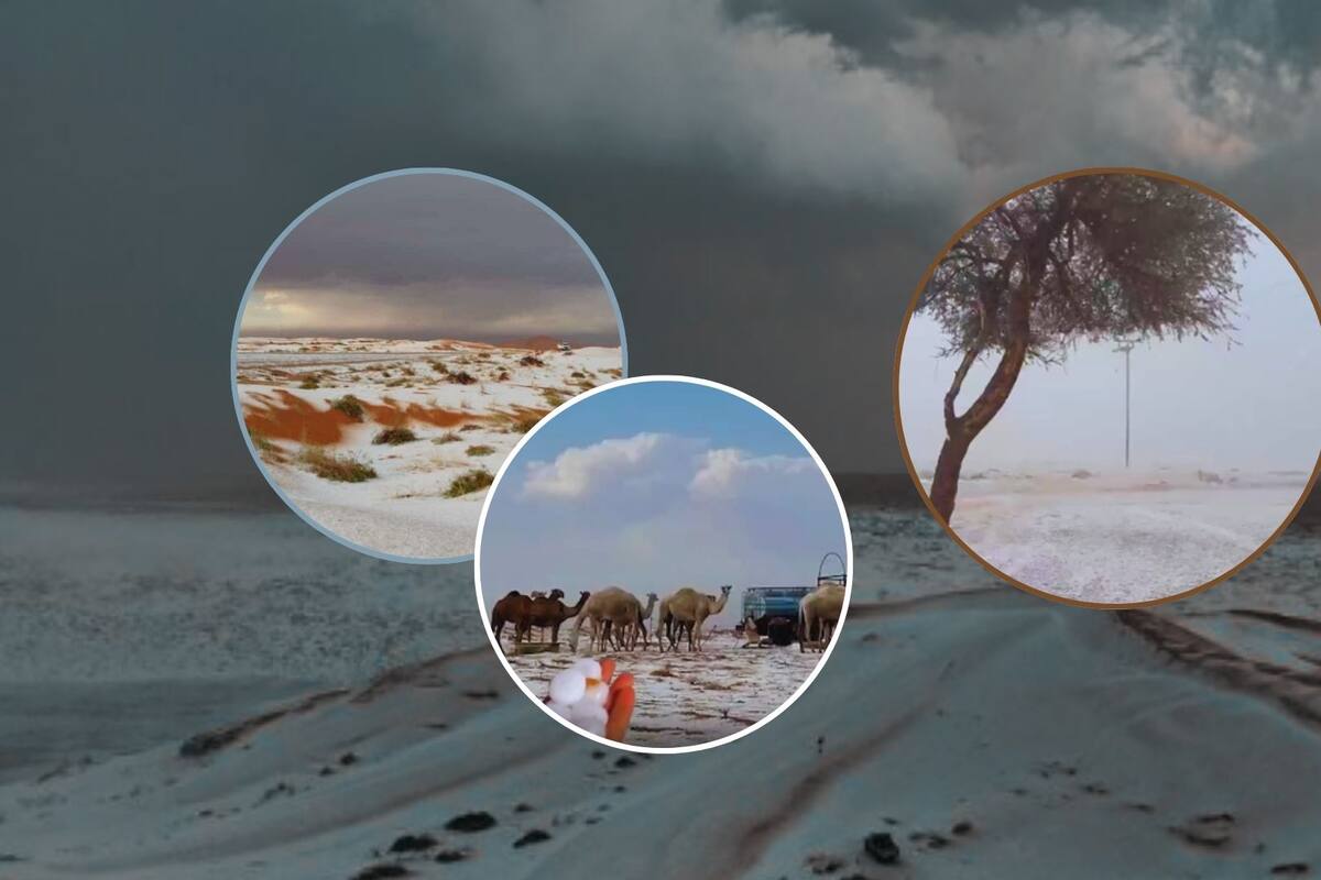 VIDEOS: Nieve en el desierto de Arabia Saudita por primera vez; aumenta preocupación por cambio climático