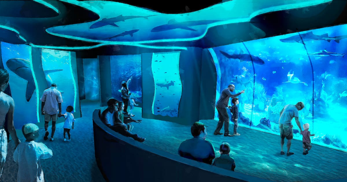 “Shark Encounter” ha llegado a SeaWorld