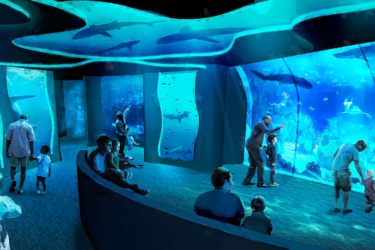 SeaWorld San Diego inaugura Shark Encounter