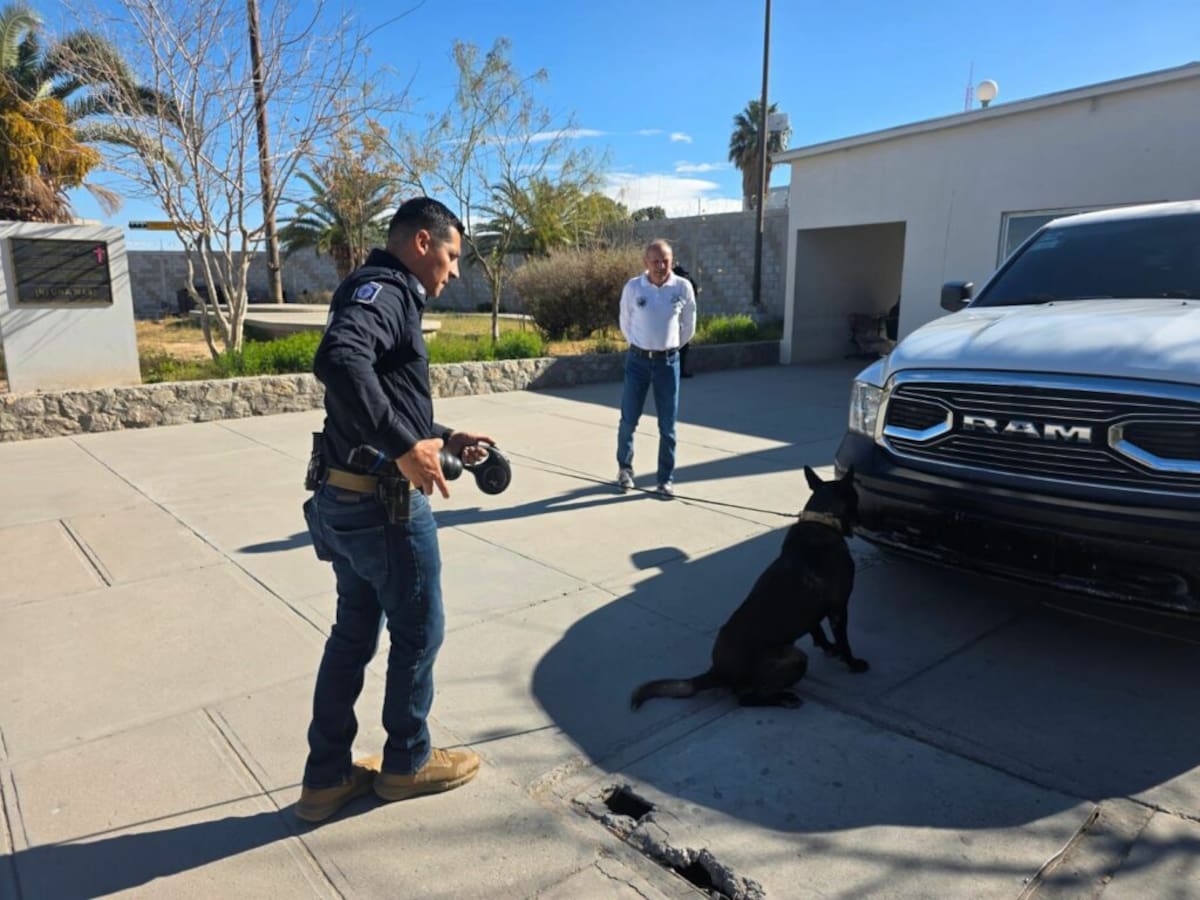 Foto: FGE Chihuahua.