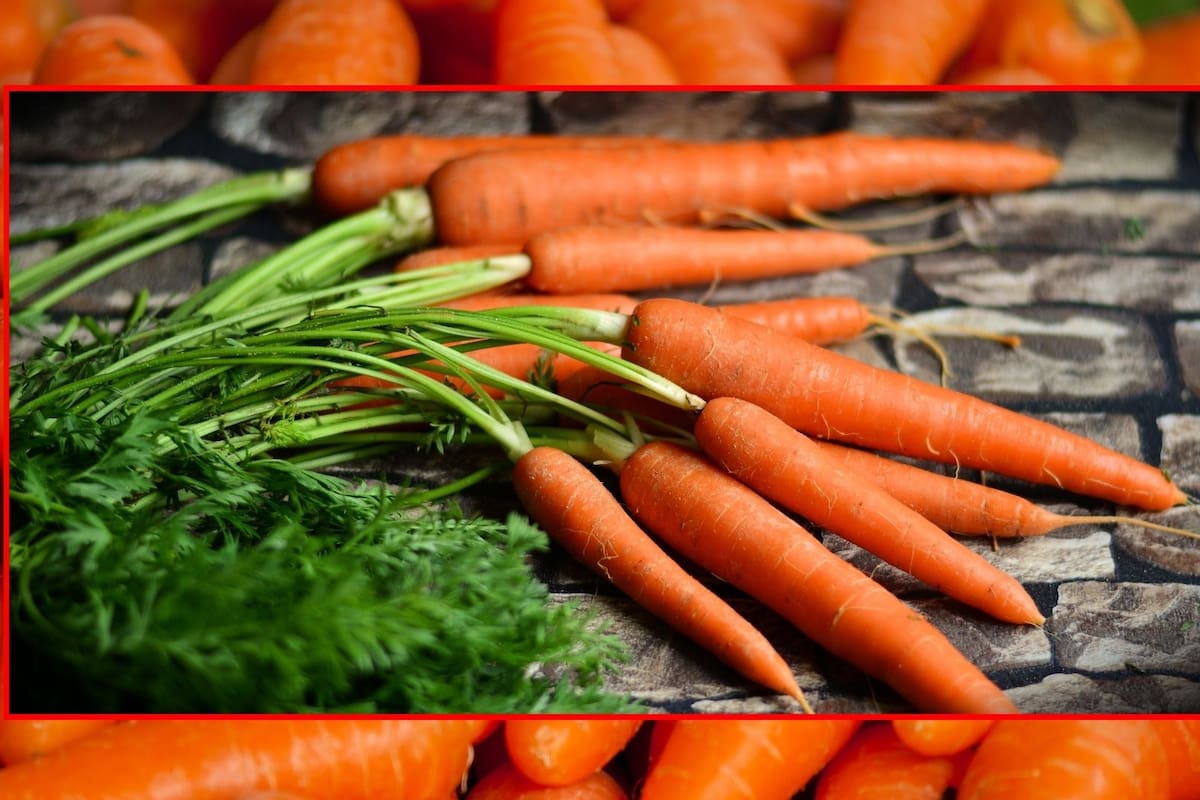 Nuevo brote de E. coli vinculado a mini zanahorias orgánicas de estas marcas en EU