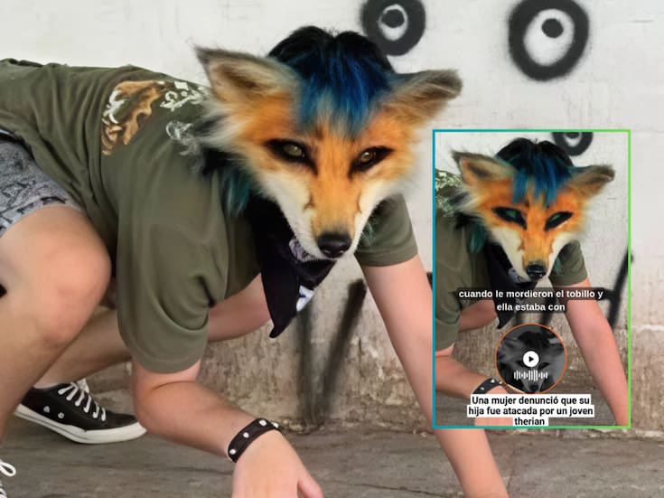 Madre argentina denuncia que un therian mordió a su hija: ¿qué son y qué significa este término?