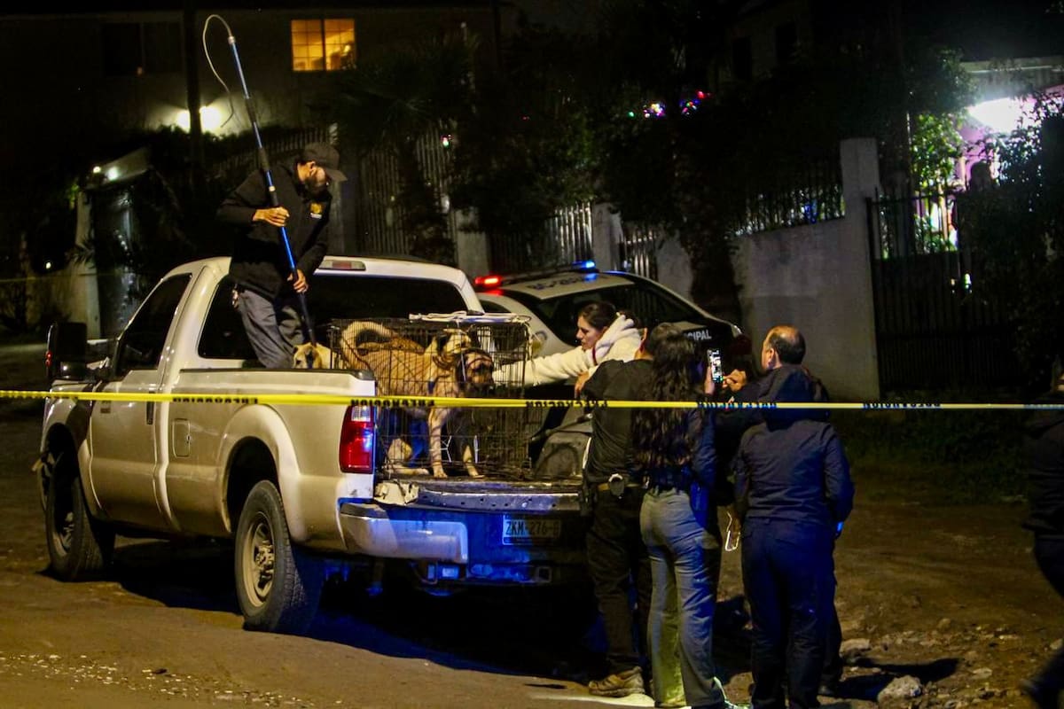 El menor fue trasladado de emergencia a un hospital luego de sufrir lesiones en cabeza y cuello dentro de un domicilio del Ejido Matamoros Foto: Border Zoom