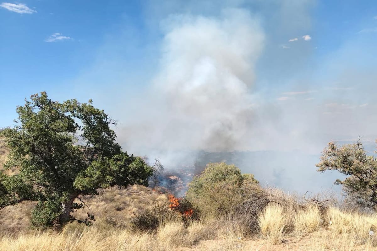 Bomberos de Nogales controlan incendio forestal en El Porvenir tras 8 horas de combate; afectó 60 hectáreas
