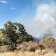 Bomberos de Nogales controlan incendio forestal en El Porvenir tras 8 horas de combate; afectó 60 hectáreas