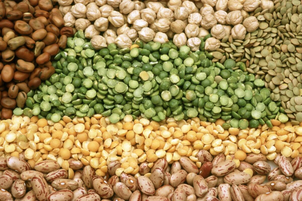 Las legumbres: Un alimento del futuro atractivo, nutritivo y sustentable