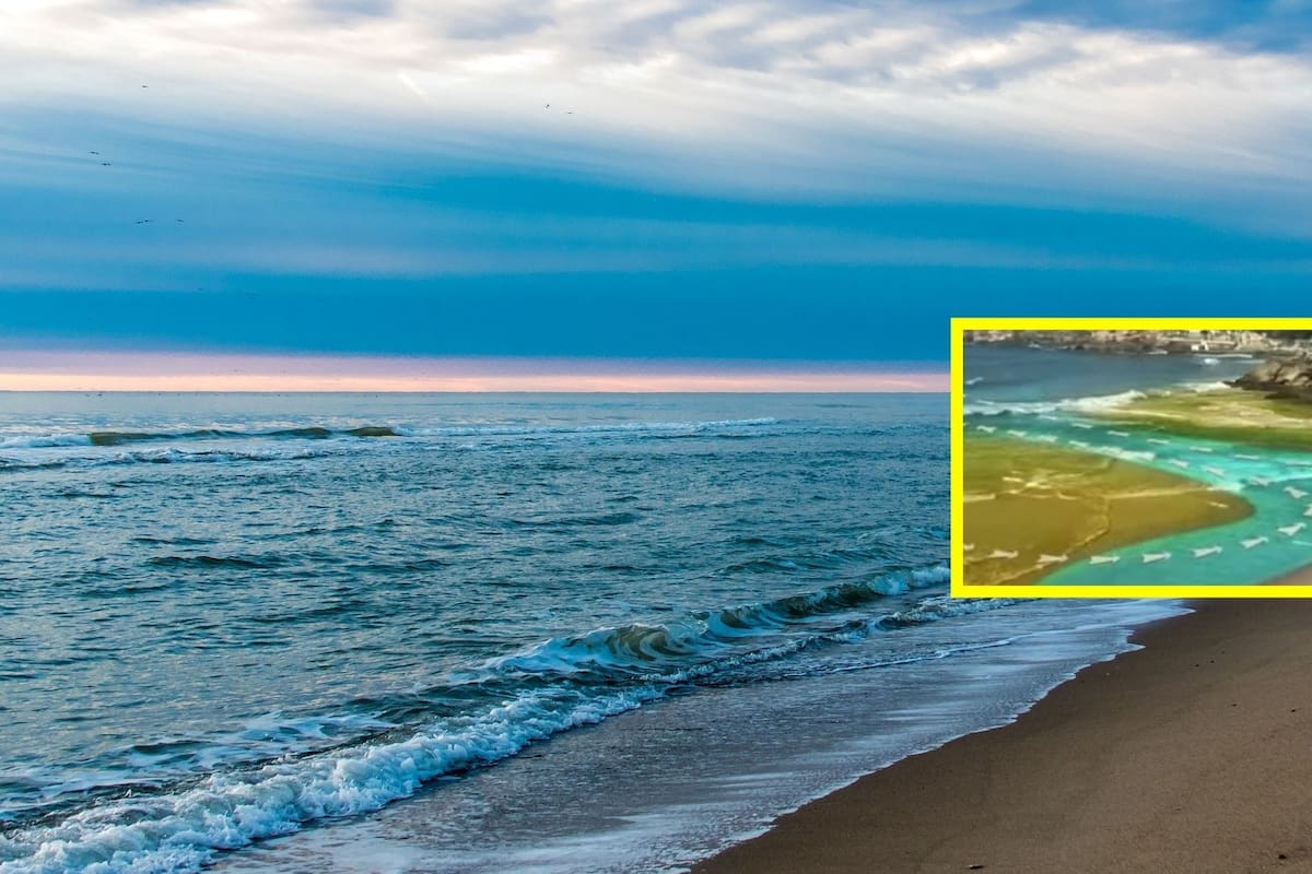 ¿Qué es una corriente de retorno y por qué es tan peligrosa?