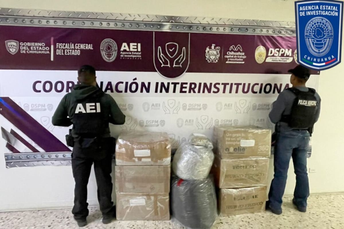 Aseguran casi 93 kilos de mariguana en operativo conjunto sobre carretera libre a Ciudad Juárez