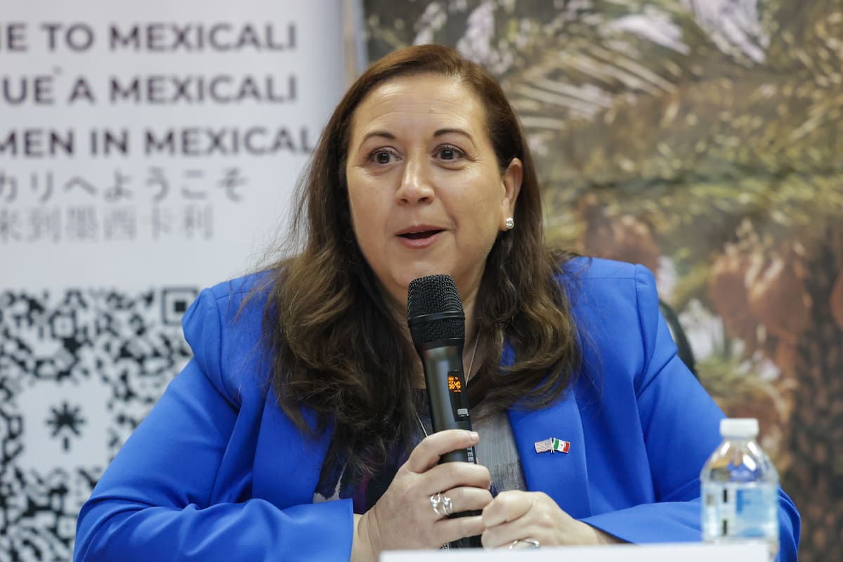 Cruces ilegales por Imperial caen hasta un 80%: Cónsul