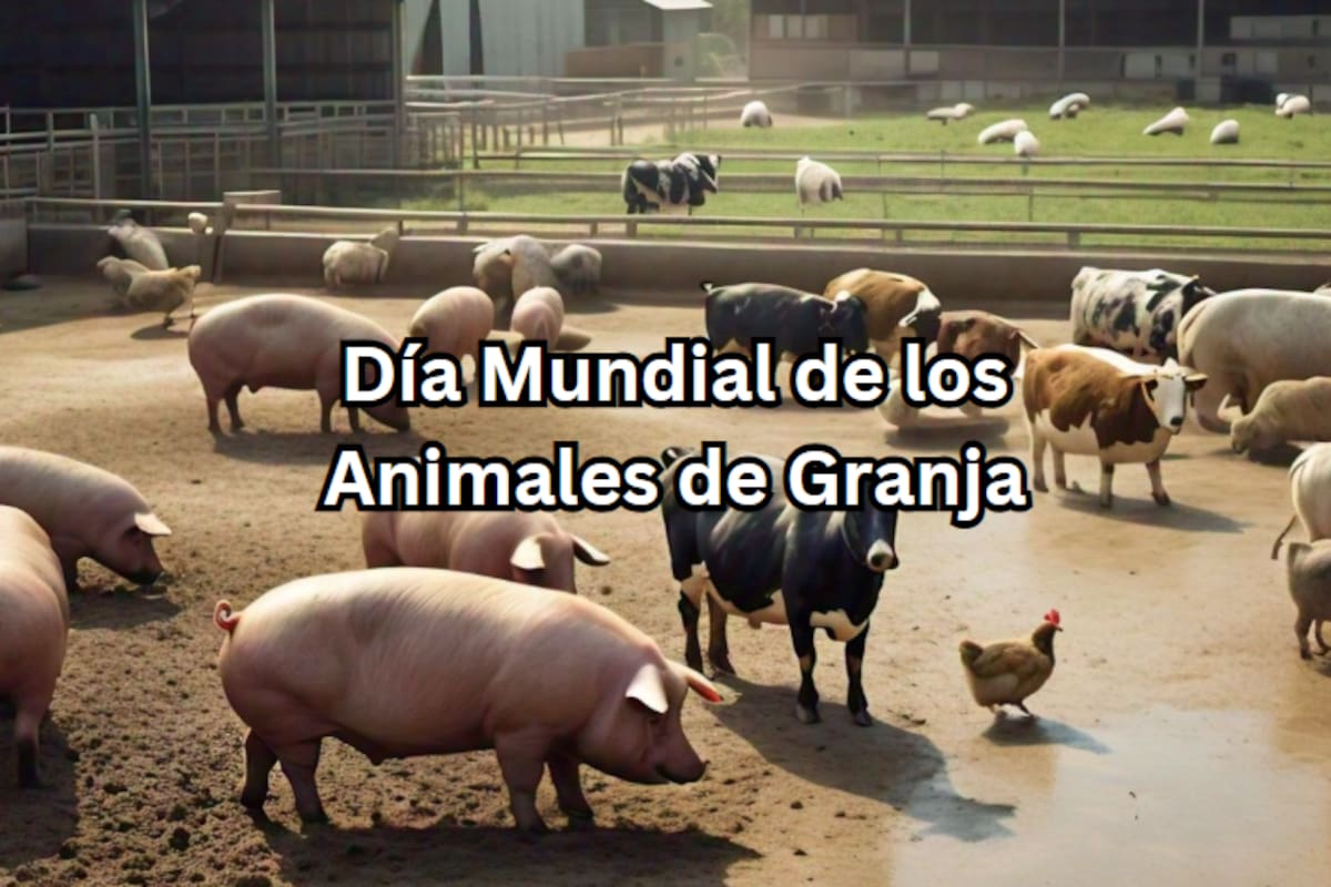 2 de Octubre, Día mundial de los Animales de Granja, más que solo ser consumo