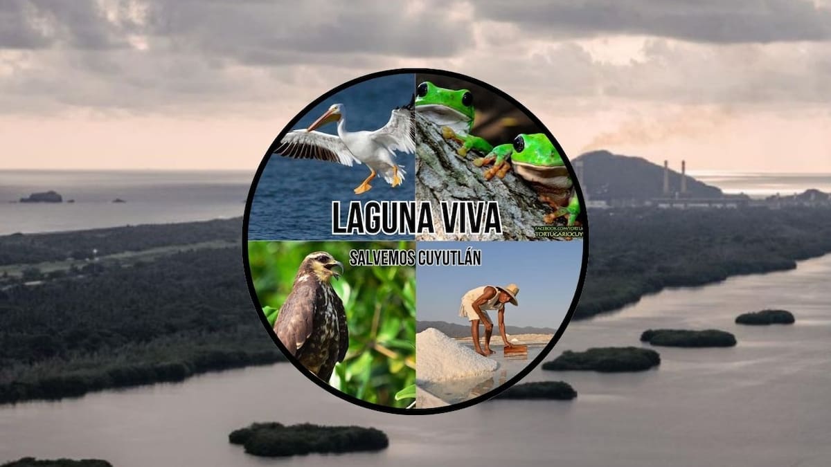 Protestas en Manzanillo, Colima: Manifestantes rechazan la construcción de un puerto en la Laguna de Cuyutlán alegando daños ecológicos irreversibles