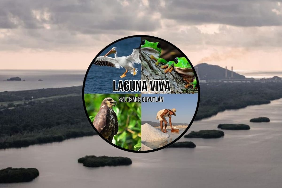 Protestas en Manzanillo, Colima: Manifestantes rechazan la construcción de un puerto en la Laguna de Cuyutlán alegando daños ecológicos irreversibles