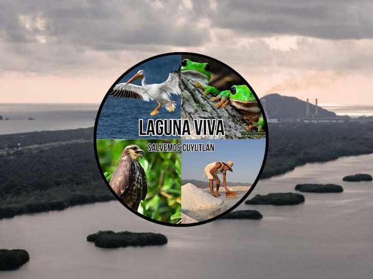 Protestas en Manzanillo, Colima: Manifestantes rechazan la construcción de un puerto en la Laguna de Cuyutlán alegando daños ecológicos irreversibles