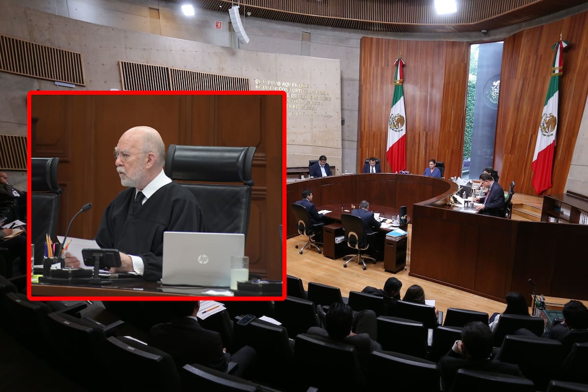 SCJN analizará penalizar el maltrato animal en relación a prácticas religiosas
