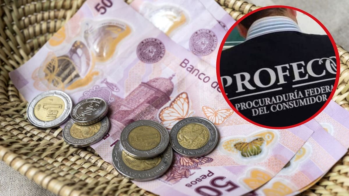 La Profeco exhorta a los consumidores a denunciar en caso de que un restaurante o bar apliquen de forma obligatoria la propina. | Foto: Especial