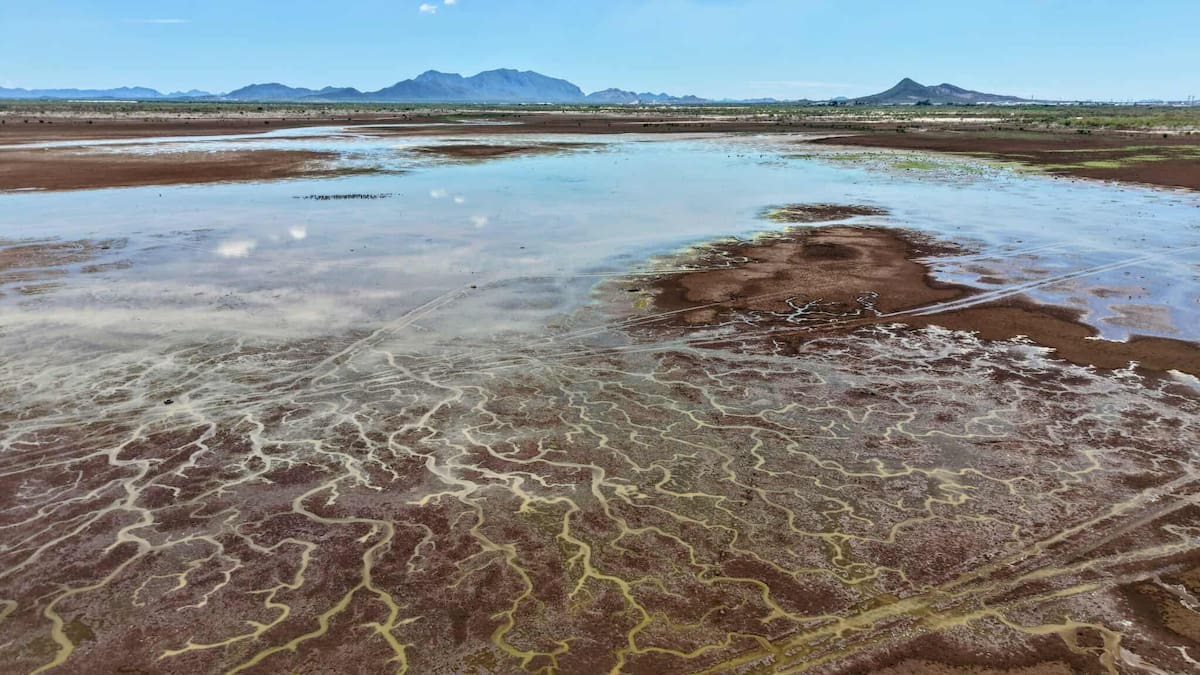 Con las recientes lluvias la presa Abelardo L. Rodriguez recibe pequeñas aportaciones de agua por el lado de la Mesa del Seri y de la parte nororiente.