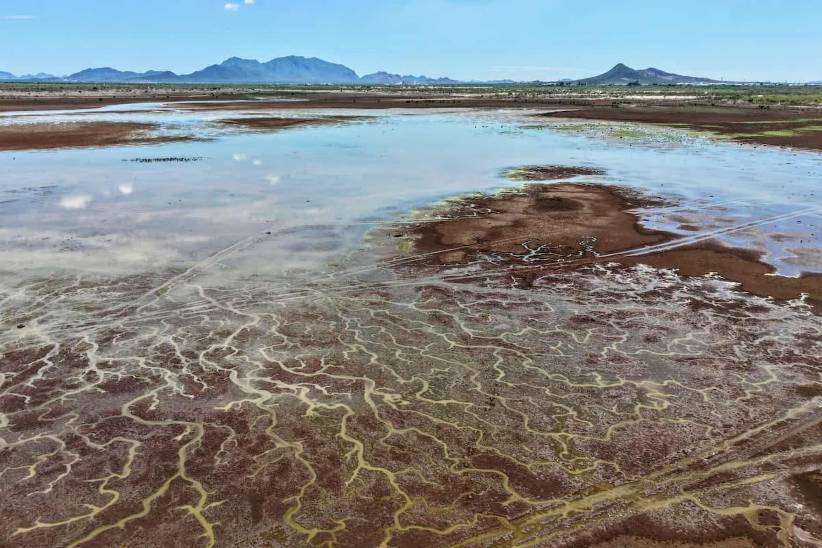 Presas de Sonora registran un aumento del 60% en almacenamiento tras recientes lluvias