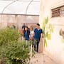 Mariposario de Cócorit registra en 2026 la mayor reproducción de polilla cuatro espejos desde su creación en 2018