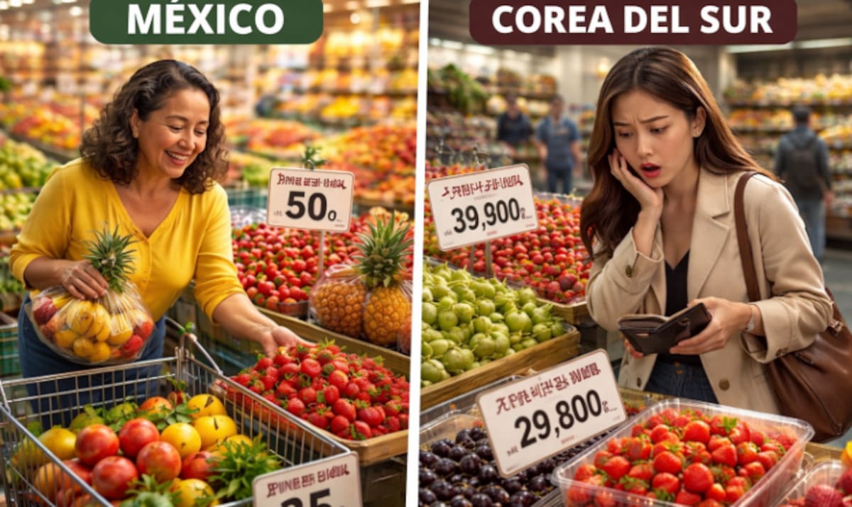 Imagen ilustrativa hecha con IA (Chatgpt).