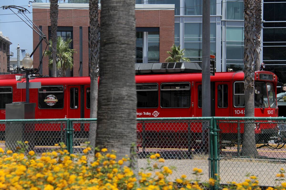 Incrementan servicios de transporte público por eventos en San Diego