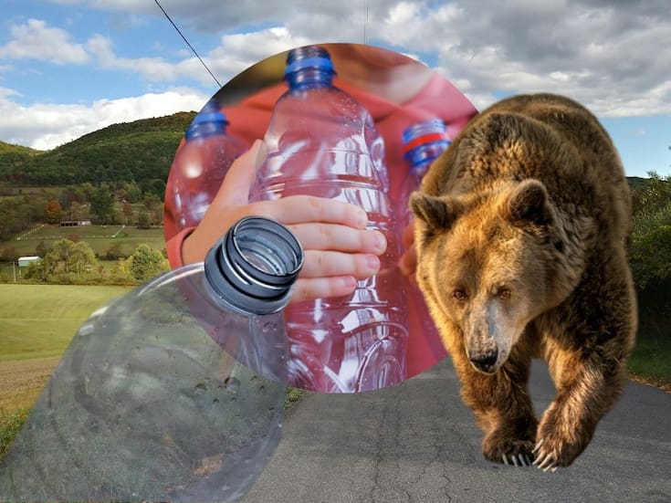 ¿Qué hacer ante un posible ataque de oso? El gobierno japonés recomienda utilizar botellas de plástico vacías