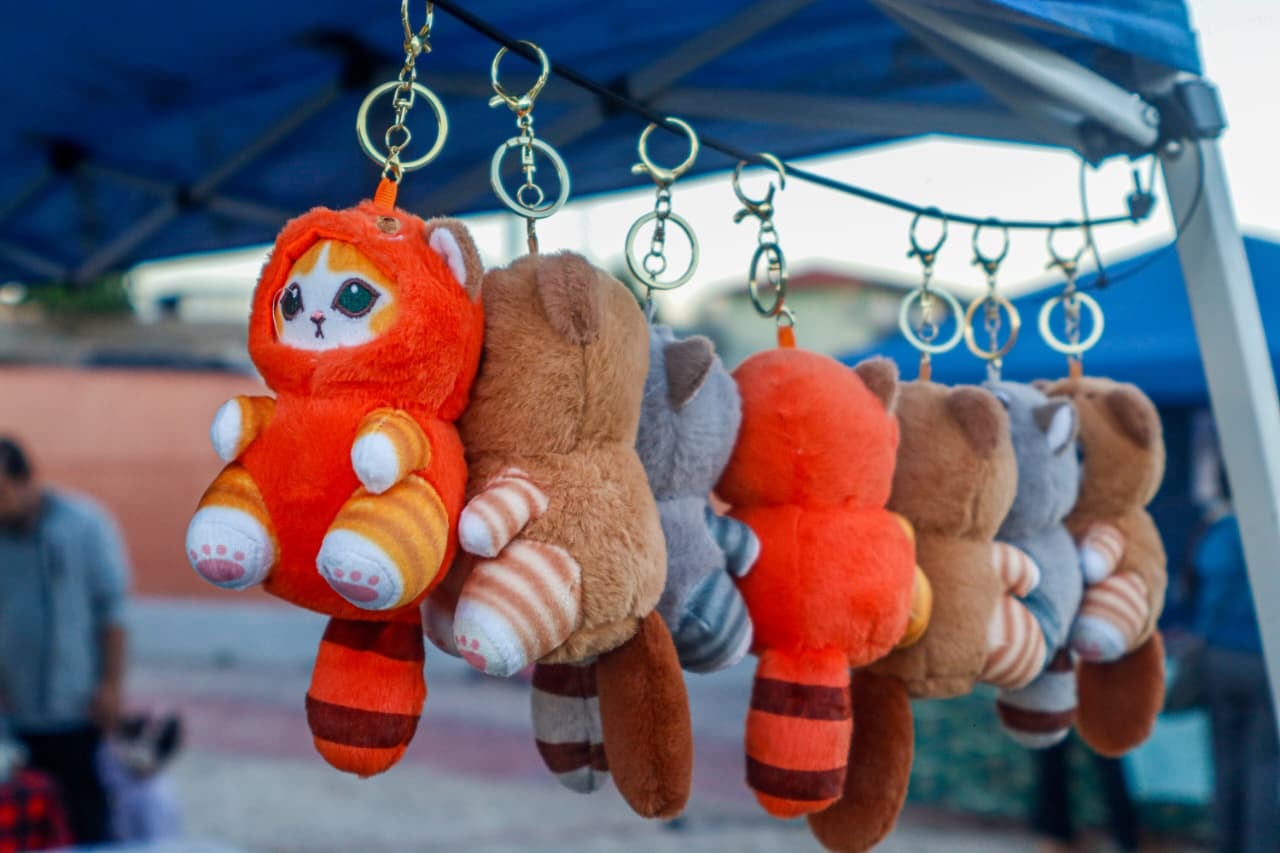 Foto: Andrés O. Farrera.