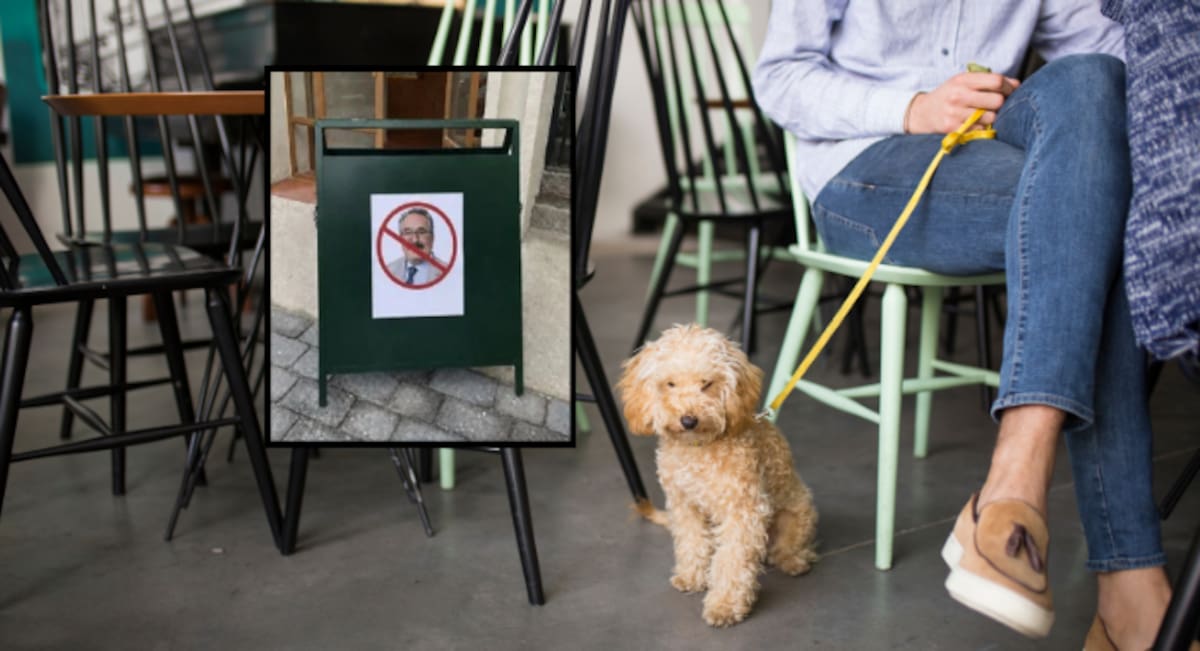 Restaurante prohíbe la entrada a Pedro Sola tras polémica por comentarios sobre envenenar perros. Foto: Canvas, redes sociales