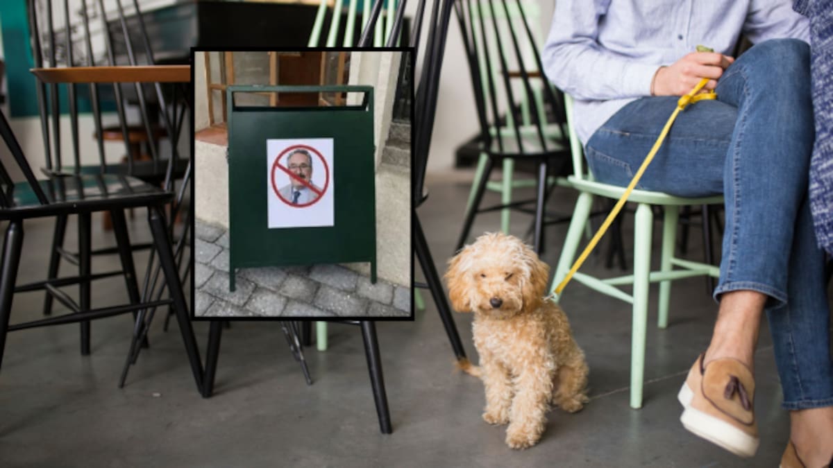 Restaurante pet friendly coloca un letrero para impedir el ingreso de Pedro Sola tras la polémica por sus comentarios sobre maltrato animal