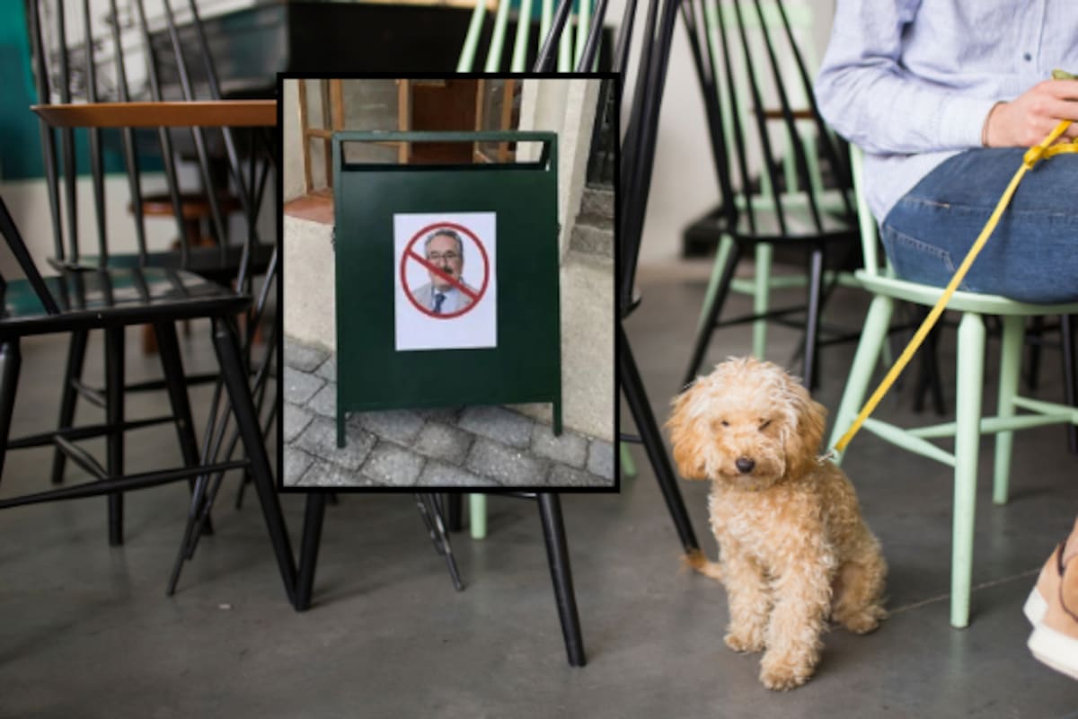 Restaurante pet friendly coloca un letrero para impedir el ingreso de Pedro Sola tras la polémica por sus comentarios sobre maltrato animal