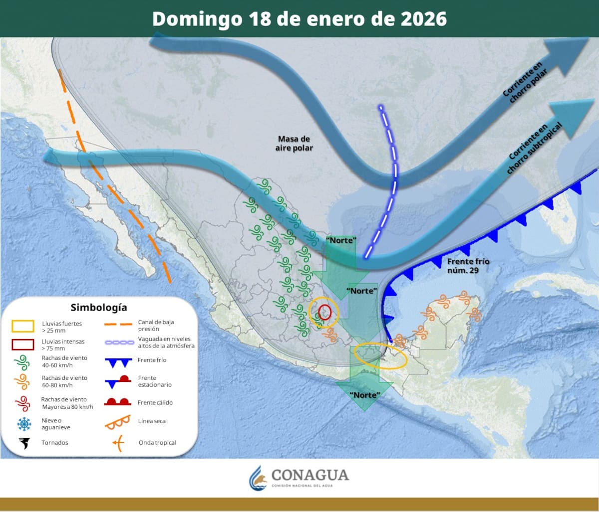 Pronóstico del clima para el domingo 18 de enero del 2026. | Crédito: SMN