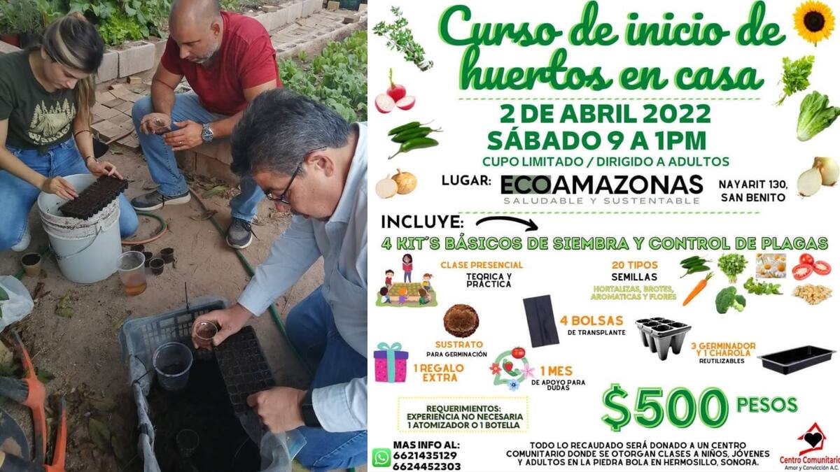 Hermosillo: Aprende a tener tu propio huerto en casa y ayuda mantener los programas del Centro Comunitario con esta actividad