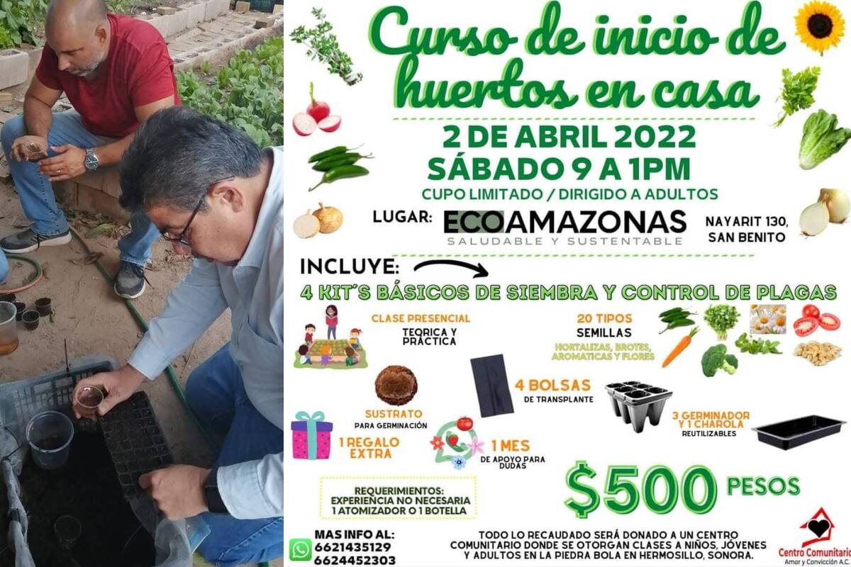 Hermosillo: Aprende a tener tu propio huerto en casa y ayuda mantener los programas del Centro Comunitario con esta actividad