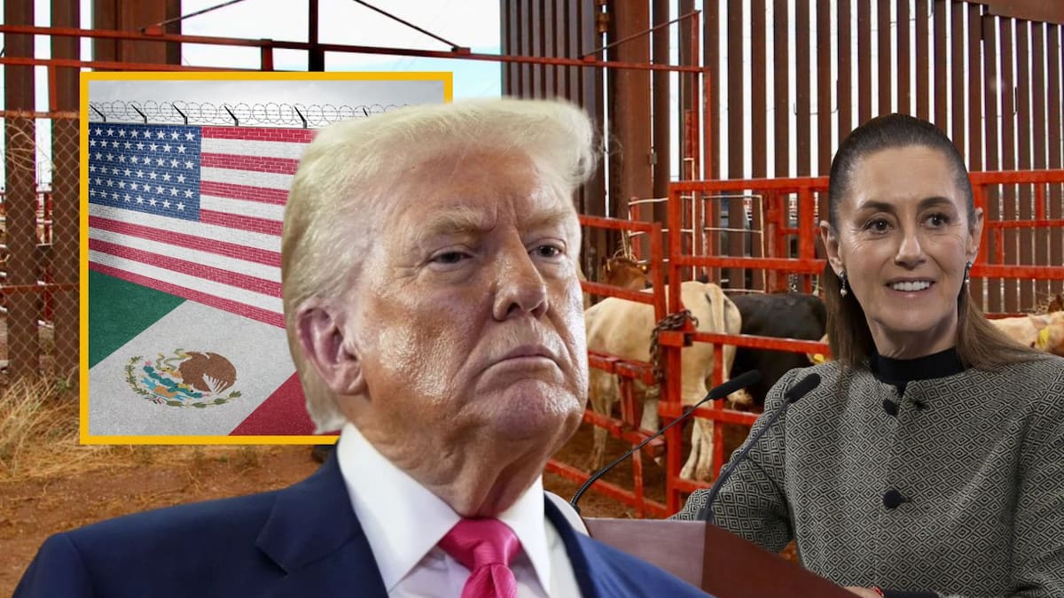 Tras nueve meses del cierre de la frontera de EEUU al ganado mexicano, el Gobierno de México importará hasta 110 millones de moscas estériles por semana para contener al gusano barrenador y acelerar su reapertura