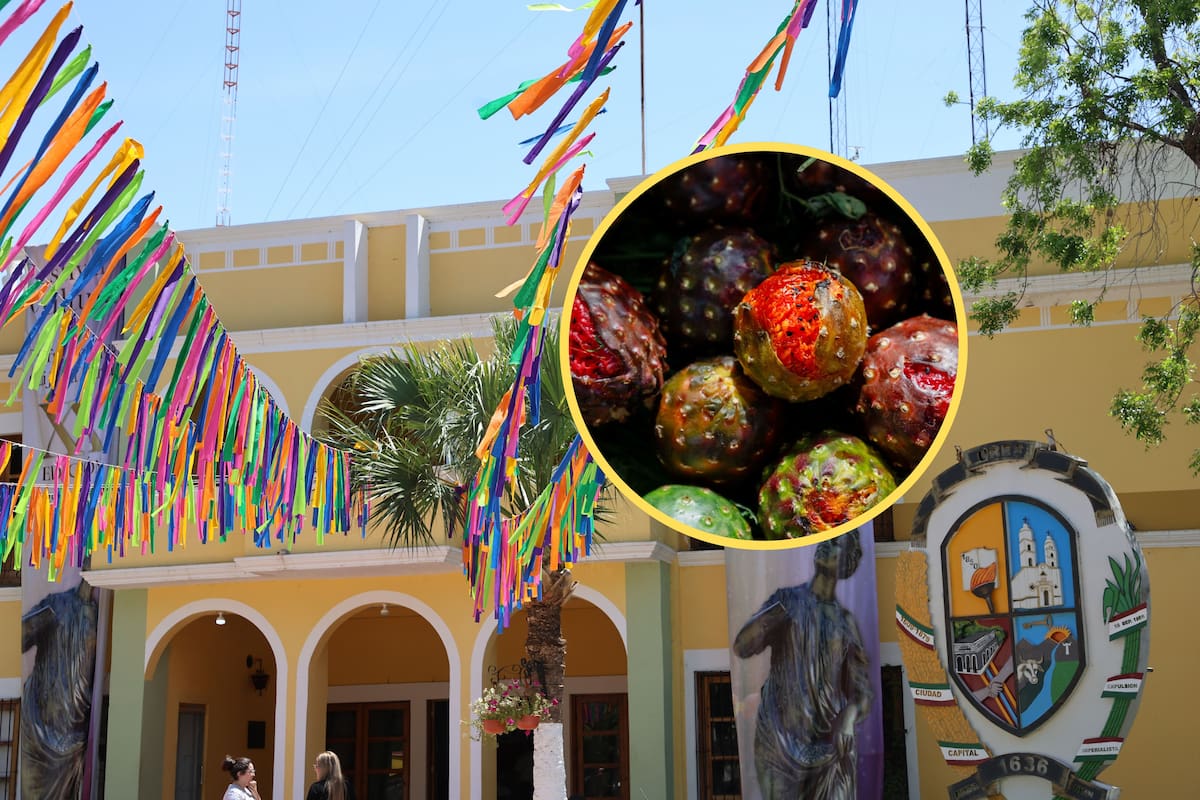Festival de la Pitaya en Ures 2026: habrá concursos, degustaciones y venta de productos del 2 al 5 de julio