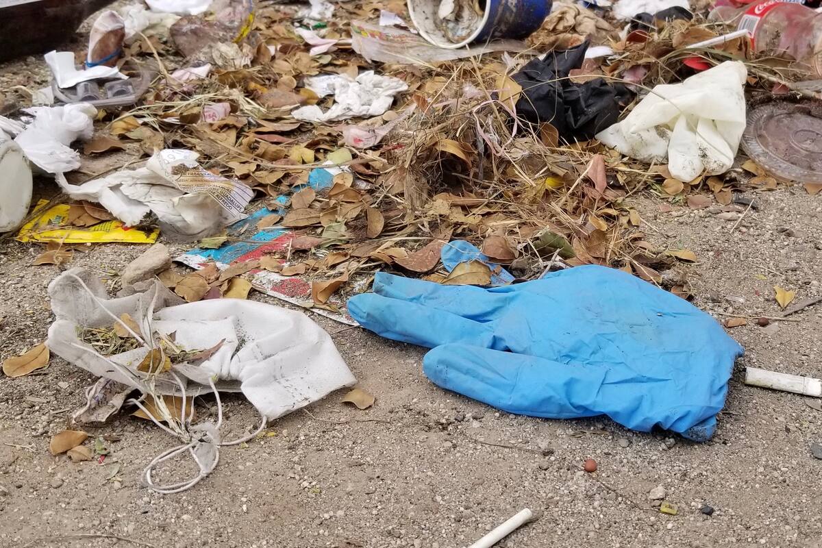 Buscan incrementar multas en materia de aseo público