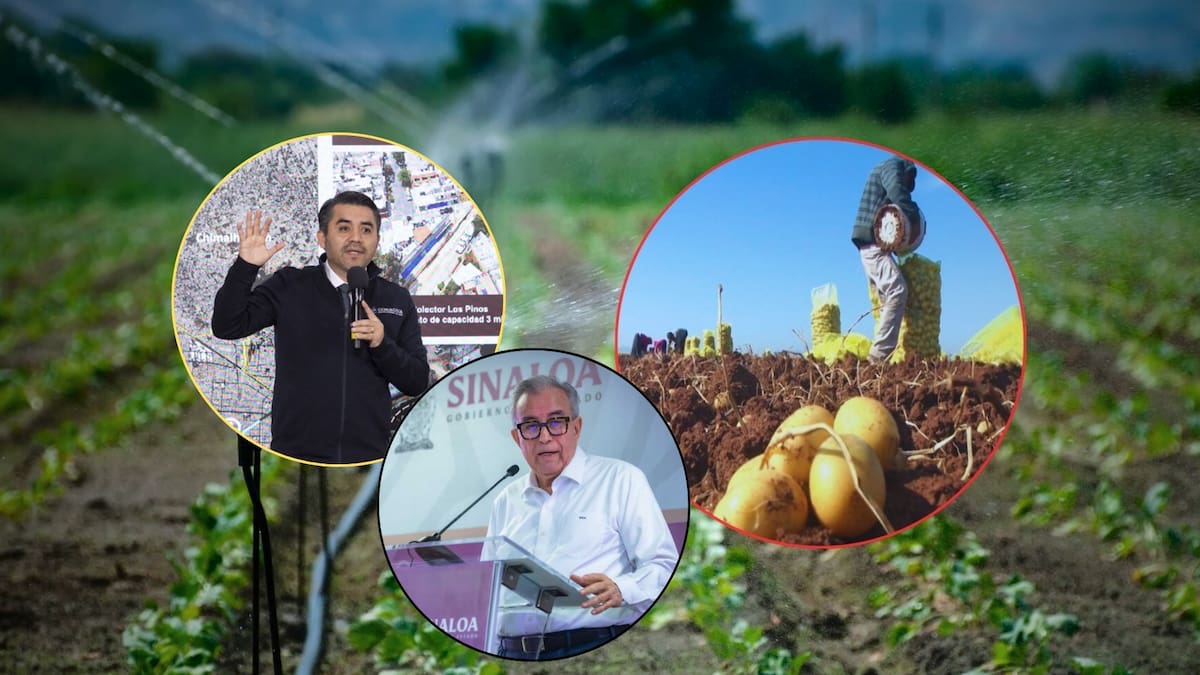 Mientras Sinaloa enfrenta sequía y disputas por el agua para riego agrícola, el Gobierno de Claudia Sheinbaum y la Conagua investigan presuntos vínculos entre el crimen organizado y la distribución ilegal del recurso en distritos operados por asociaciones civiles