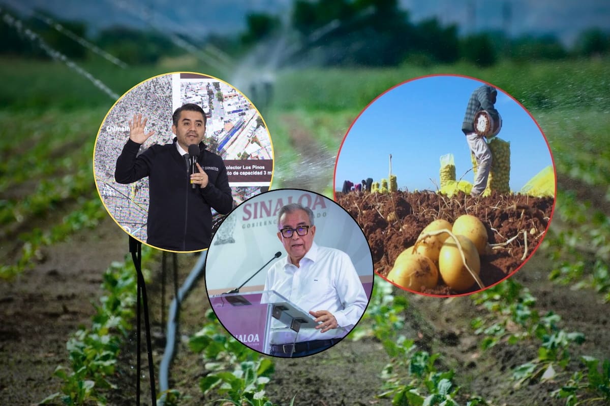 Mientras Sinaloa enfrenta sequía y disputas por el agua para riego agrícola, el Gobierno de Claudia Sheinbaum y la Conagua investigan presuntos vínculos entre el crimen organizado y la distribución ilegal del recurso en distritos operados por asociaciones civiles