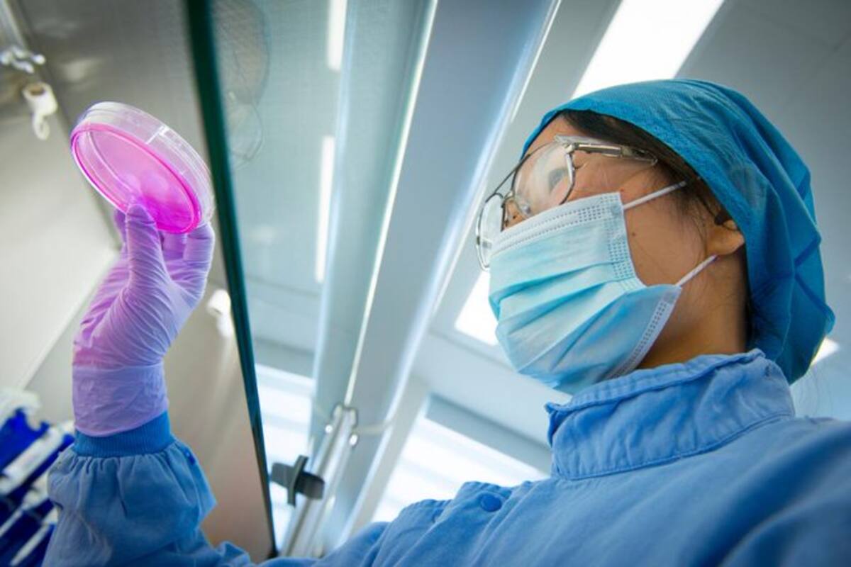 AstraZeneca entregará las primeras vacunas anti-Covid a la UE en los próximos días