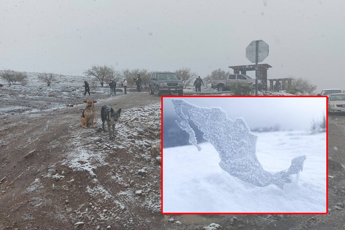 Tormenta invernal: Estados afectados con clima gélido, nevadas y un nuevo frente frío