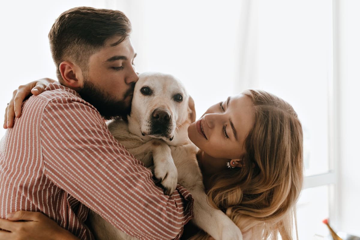 ¿Cómo cuidar mejor a un perro en casa? 4 hábitos que pueden mejorar su bienestar